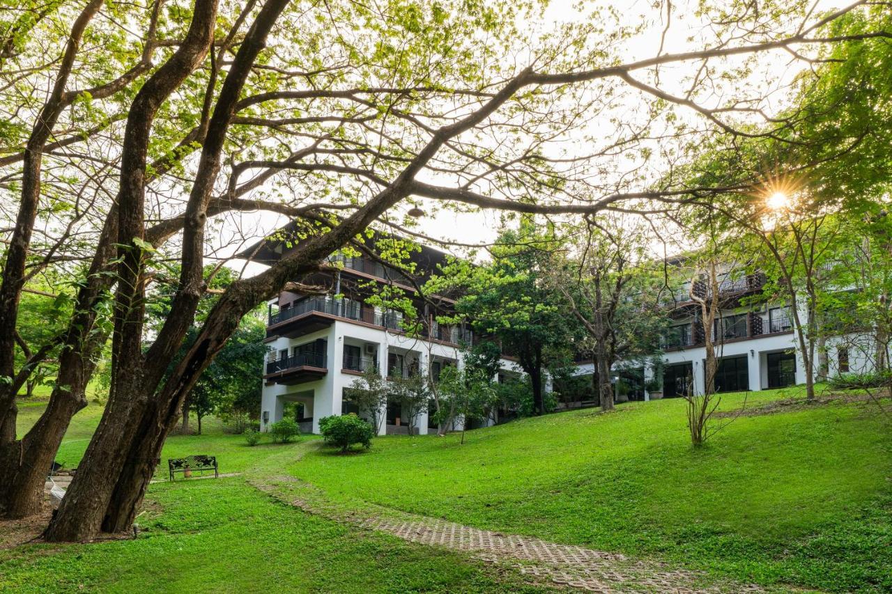 Rain Tree Khao Yai Hotel Pak Chong المظهر الخارجي الصورة